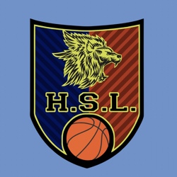HSL BASKET BLU