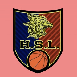 HSL BASKET ROSSA