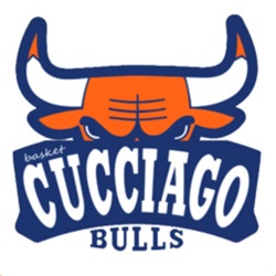 CUCCIAGO BULLS