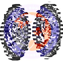 Total Madness Tigers