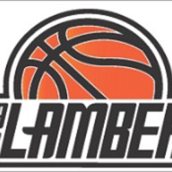 LAMBER BASKET