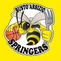 busto springers