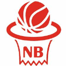 NOVARA BASKET