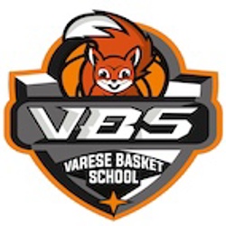 VARESE BASKET SCHOOL