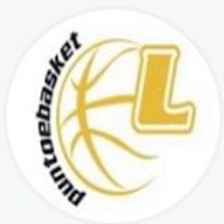 Puntoebasket Lainate