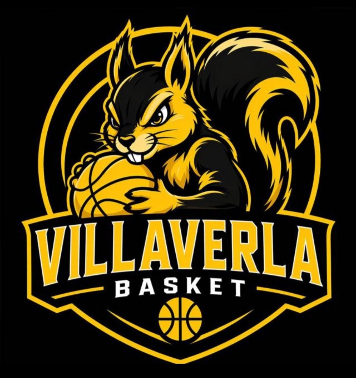 BASKET VILLAVERLA