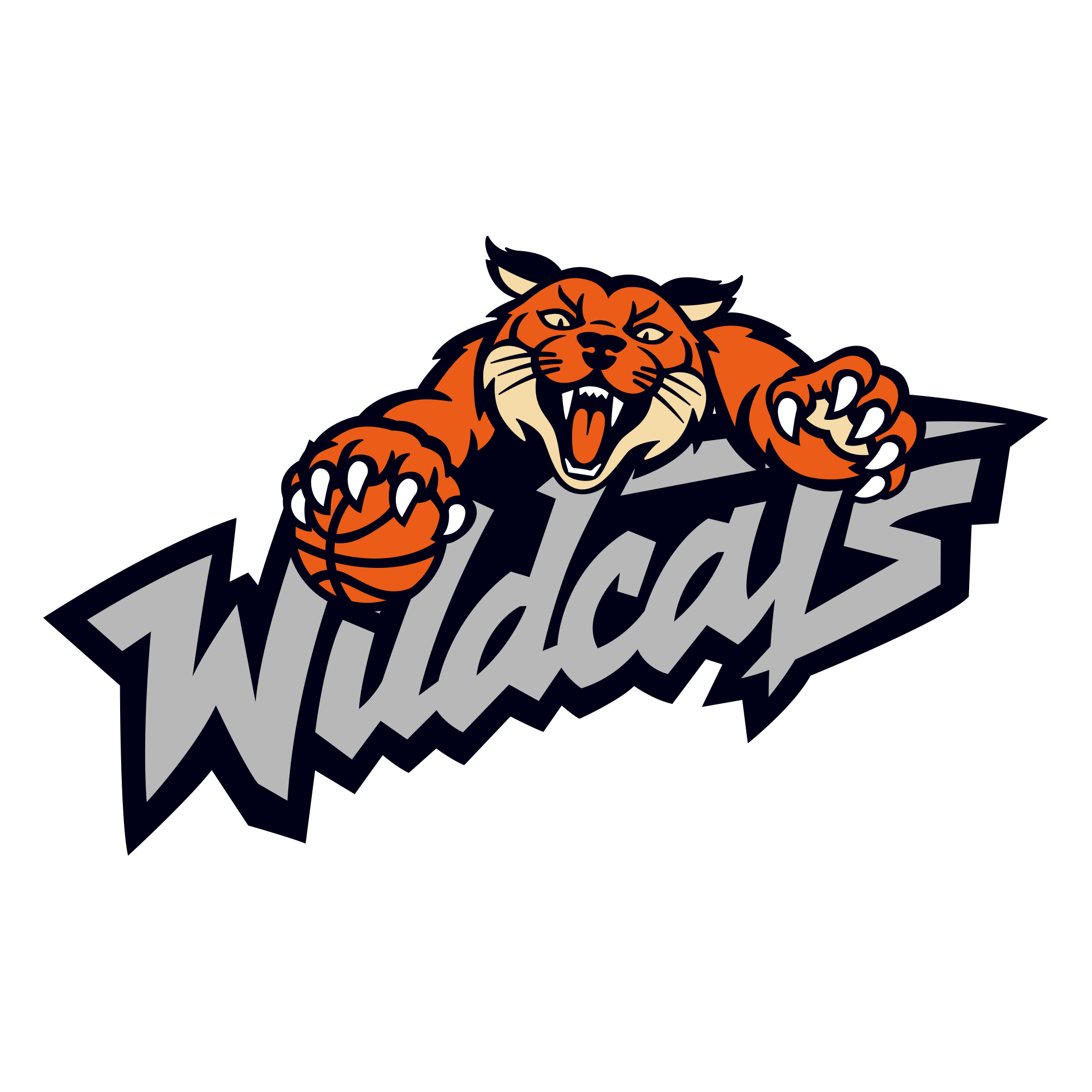 WILDCATS SCHIO